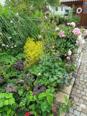 Bittner Garten- und Grabpflege